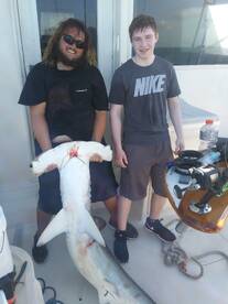 Big fish on the reef