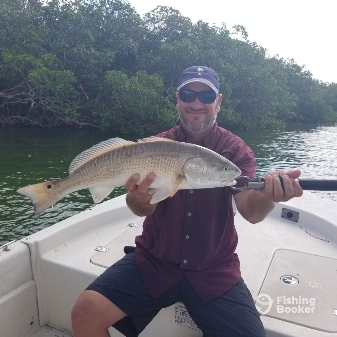 Bonita Springs Report Photo 0