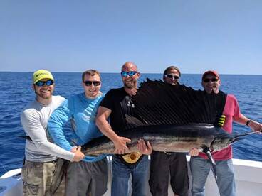 Spring Sailfish
