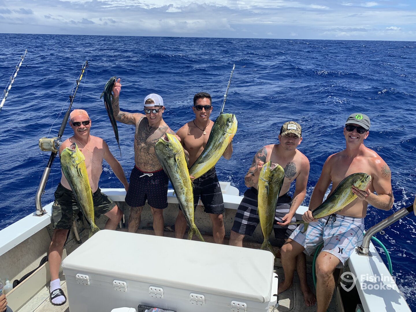 Haleiwa Report Photo 0