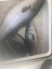 Poquoson Report Photo 2