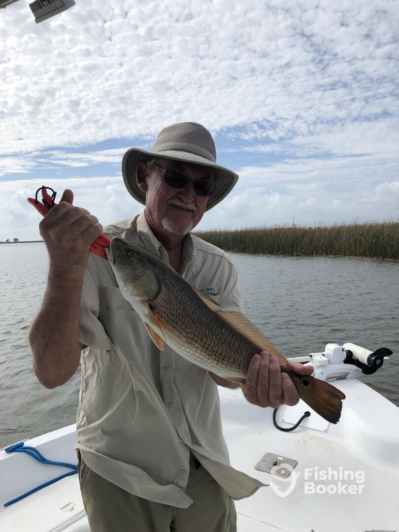 Port St. Joe Report Photo 0