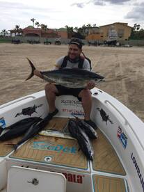 Tuna bite still on fire