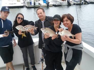 New York City Report Photo 1