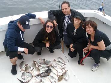 New York City Report Photo 2