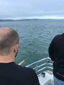 San Francisco Report Photo 1