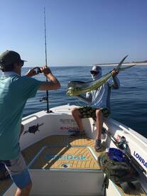 Buenavista Report Photo 2