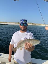 Orange Beach Report Photo 2