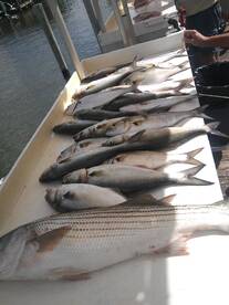 Super Fantastic fishing.