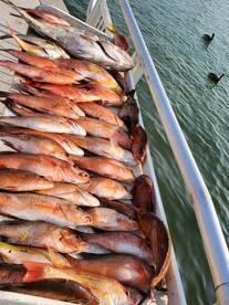 Clearwater Report Photo 2