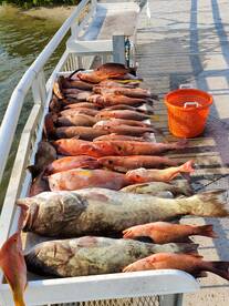 Clearwater Report Photo 1