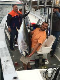 Big eye and yellowfin tuna this week .!!