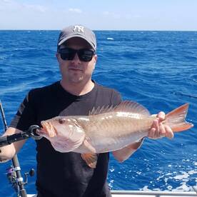Port Douglas Report Photo 2
