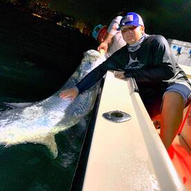 220 lb Tarpon caug ht on charter 