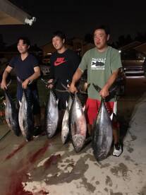 Bluefin Bluefin Bluefin!!