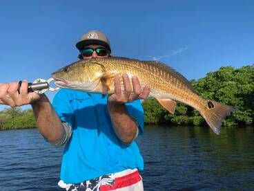 Port Charlotte Report Photo 1