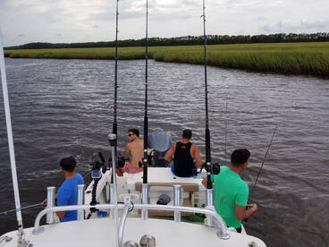 Hampstead Report Photo 2