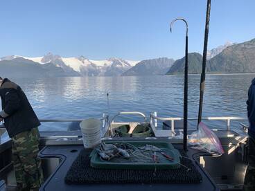 Seward Report Photo 2