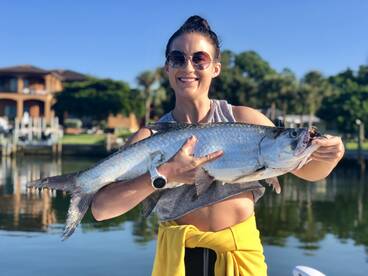 Sarasota Report Photo 1