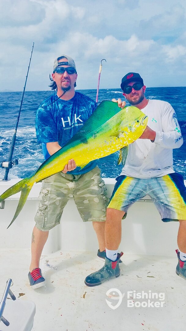 Dania Beach Report Photo 0