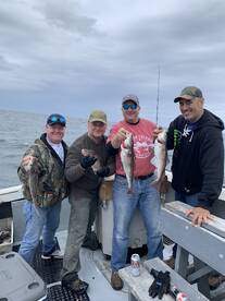 Good September haddock 