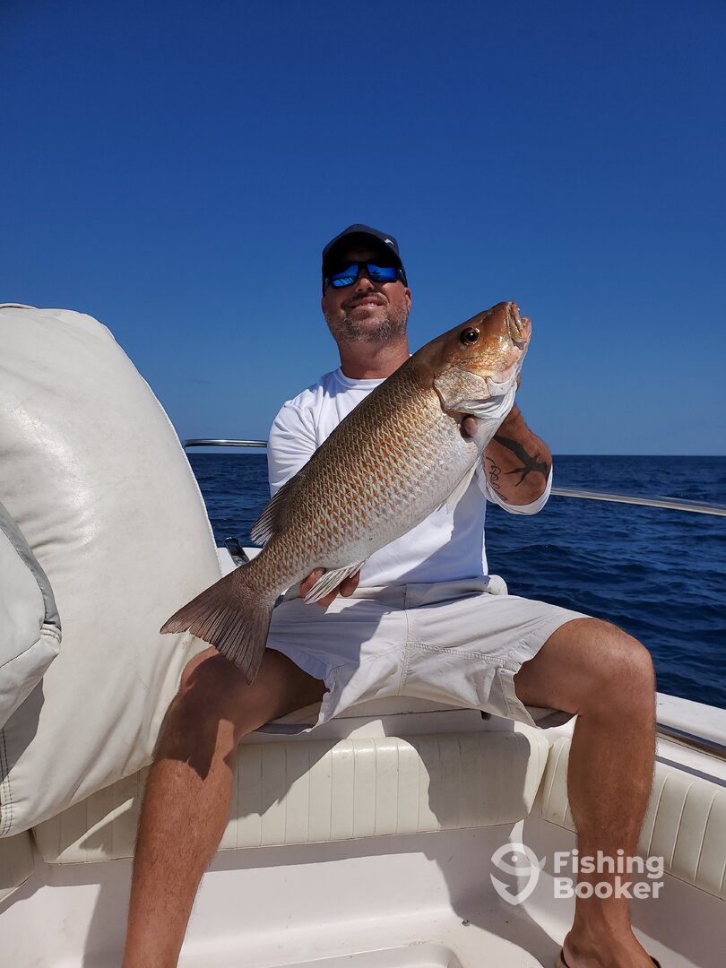 Clearwater Report Photo 0