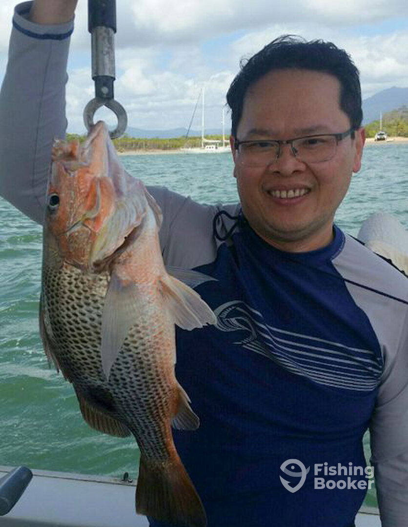 Cairns Report Photo 0