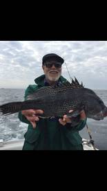 Cape May Report Photo 1