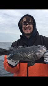 Cape May Report Photo 2