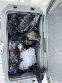 Lacey Township Report Photo 1