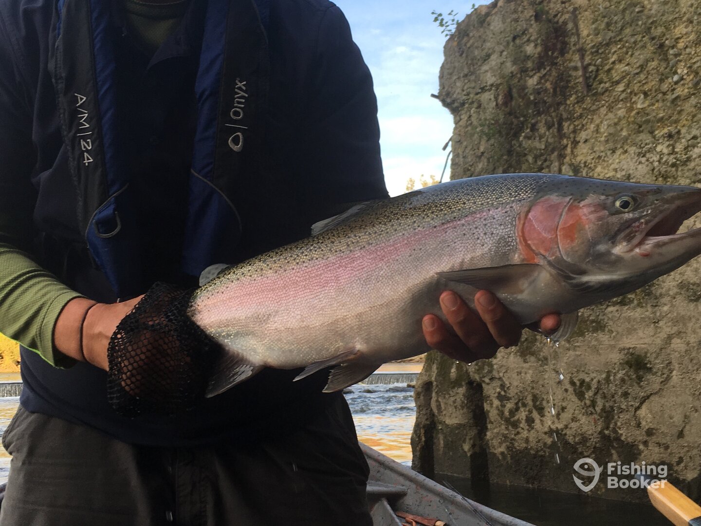 Bonus bow!