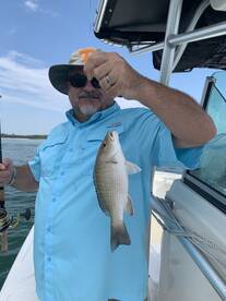 Orange Beach Report Photo 1