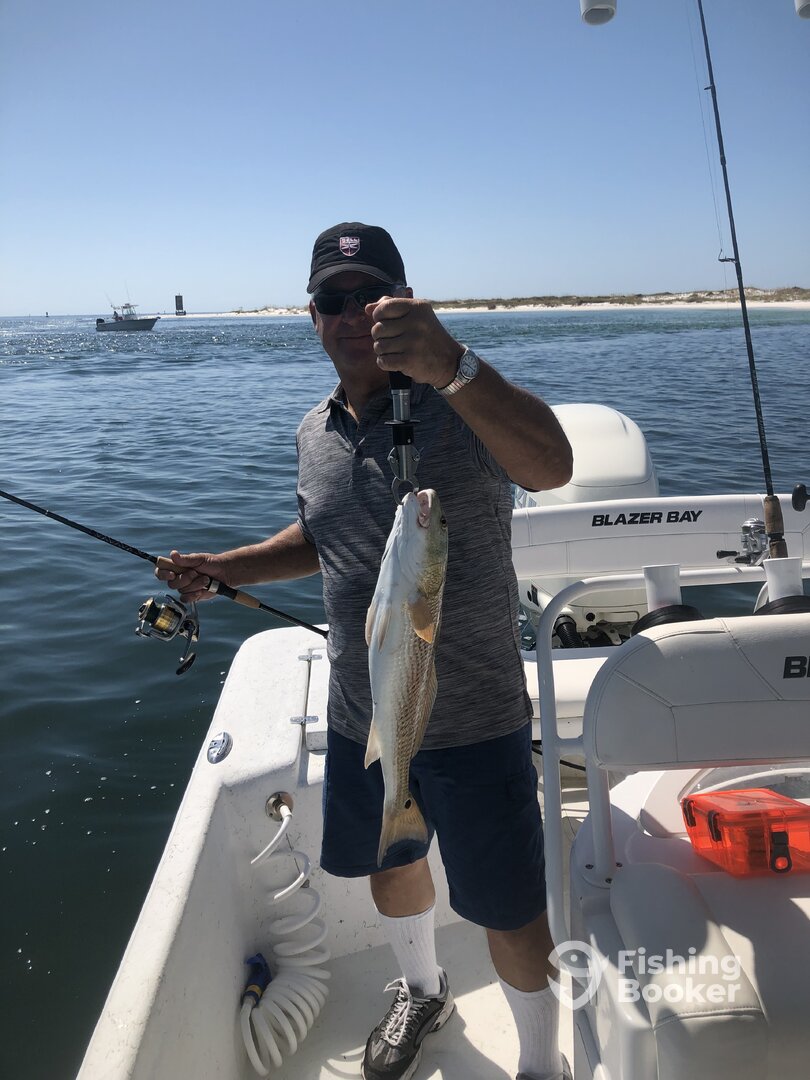 Orange Beach Report Photo 0