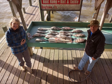 Saltwaters back and fish are hungry!