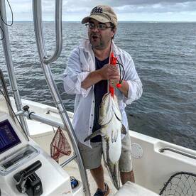 Solomons Report Photo 2