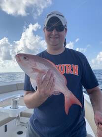 Orange Beach Report Photo 2