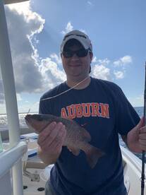 Orange Beach Report Photo 1