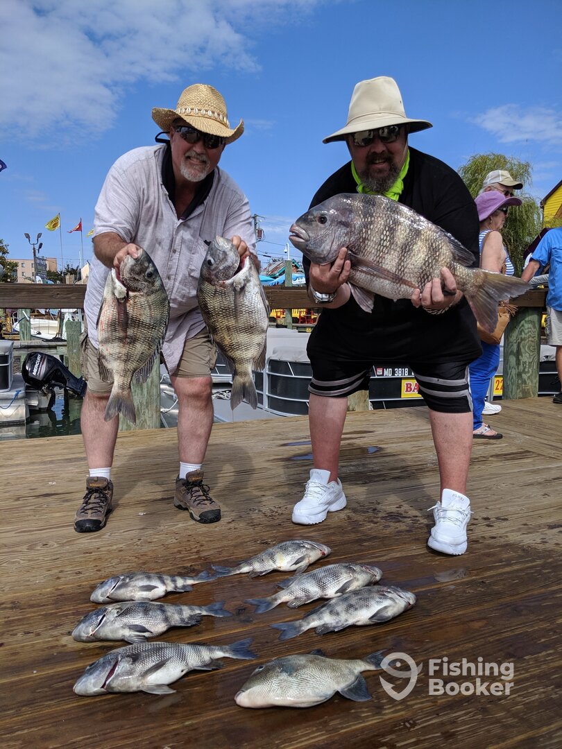 Ocean City Report Photo 0