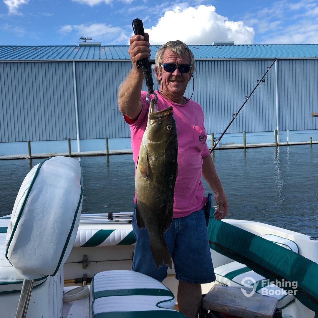 Crystal River Report Photo 0
