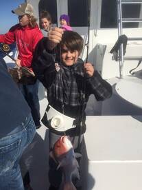 Destin Report Photo 1