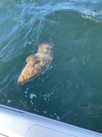 Clearwater Report Photo 2