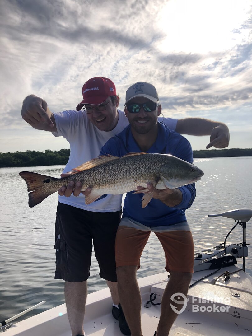 Sarasota Report Photo 0