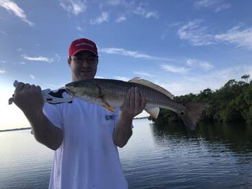 Sarasota Report Photo 2