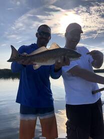Sarasota Report Photo 1