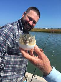 Chincoteague Report Photo 1