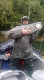 Look at those salmon!