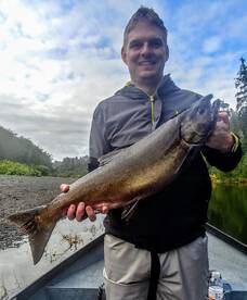 Salmon biting on the Humptulips River!