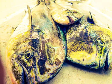 Le Morne Report Photo 2
