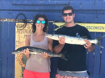 Barracudas and Sharks