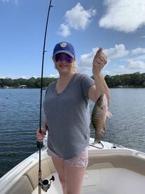 Orange Beach Report Photo 1